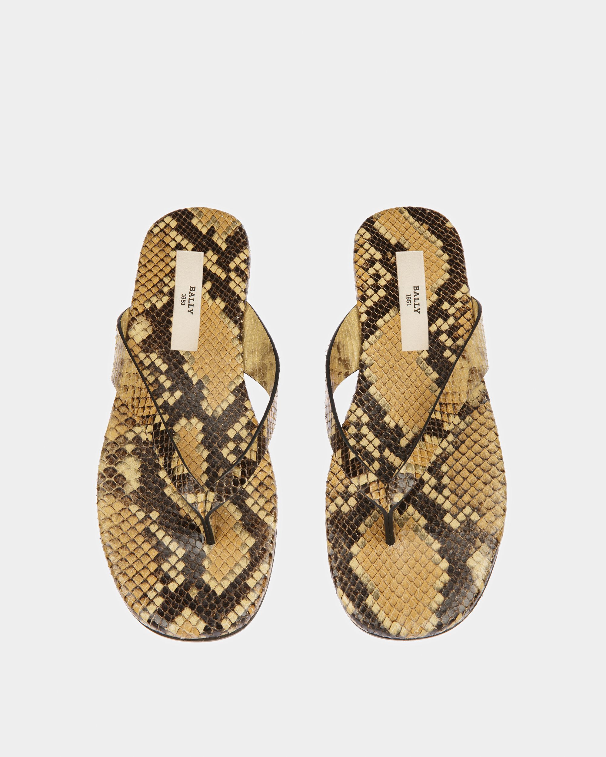 San Fernando Zehenstegsandale Mit Python-Print - Herren - Bally - 02